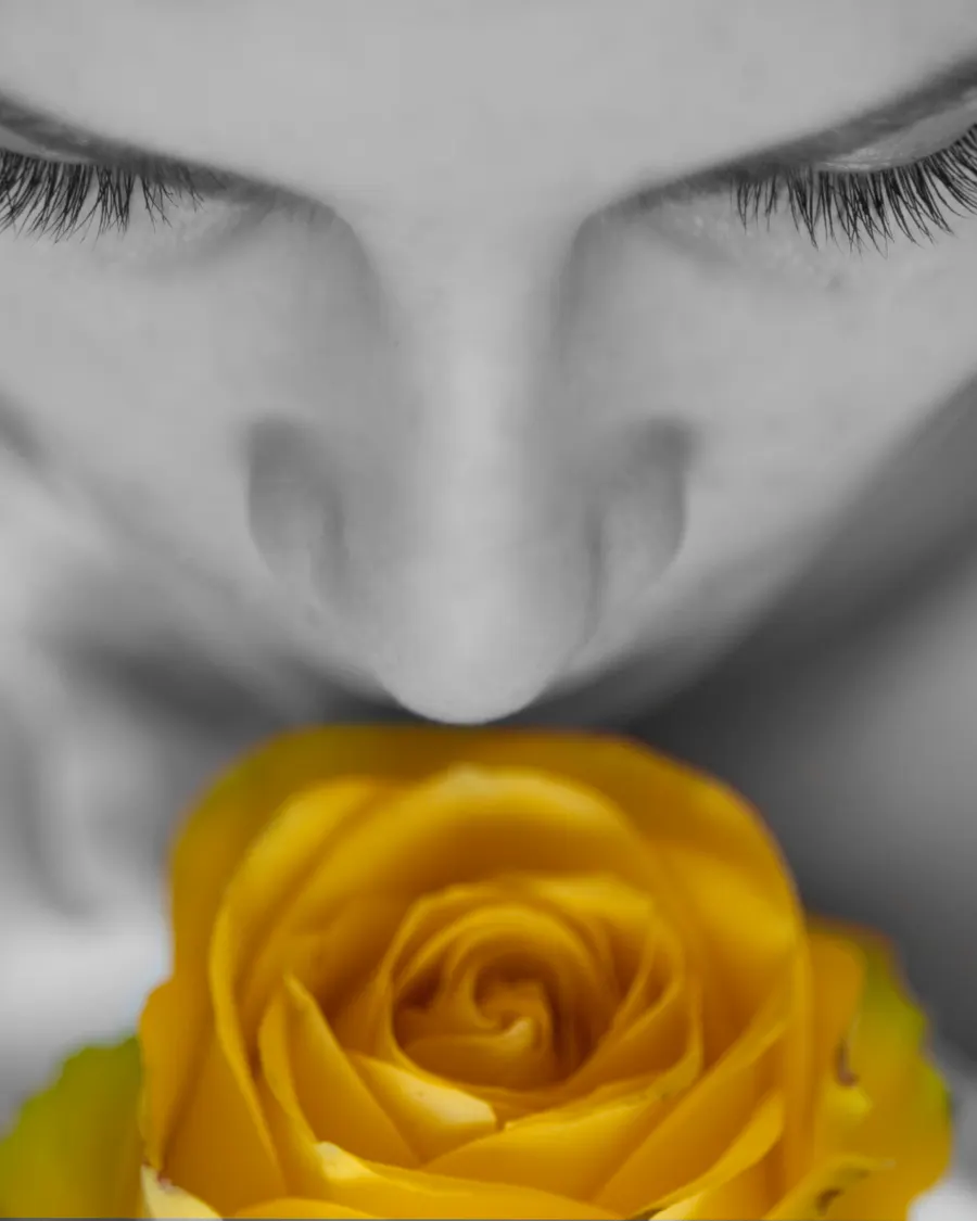 Close-up of someone experiencing a fragrance, illustrating the scent discovery quiz